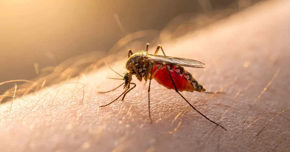 Gejala Malaria di Aceh — Kapan Harus ke Dokter di Banda Aceh